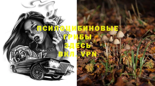мдпв Пестово