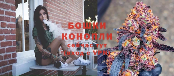 шишки Армянск