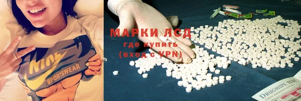 шишки Армянск